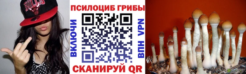 Галлюциногенные грибы Magic Shrooms  Калязин 